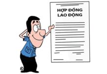 Hợp đồng lao động và đơn phương chấm dứt hợp đồng lao động?
